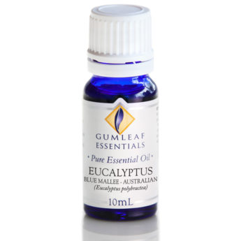 Buckley & Phillips Eucalyptus Blue Mallee Pure Essential Oil