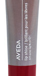 Nourish-Mint Lip Shine