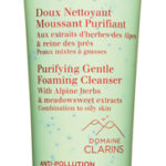 Gentle Foaming Purifying Cleanser