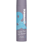 Perfect Tease Dry Shampoo