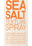 Sea Salt Texture Spray