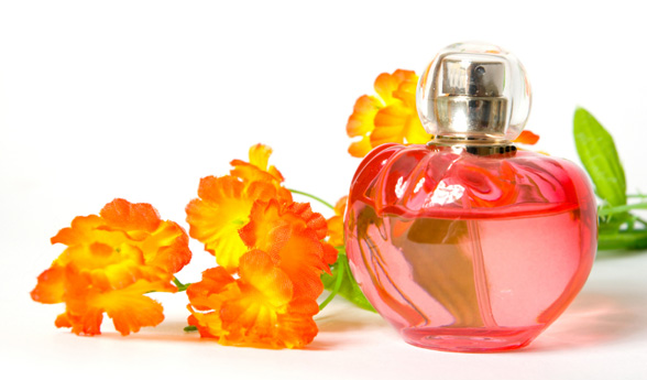 Facts behind your fragrance