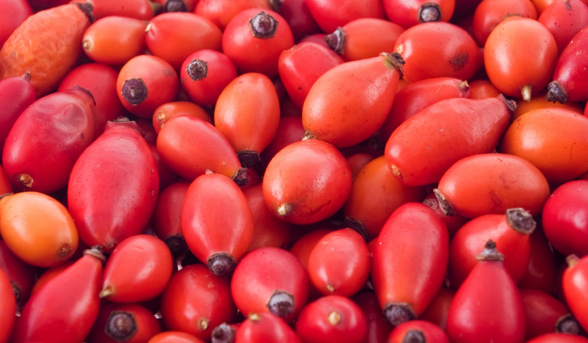 6 reasons your skin will love rosehip oil