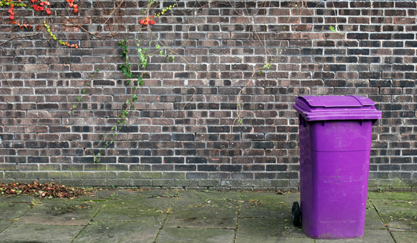 The beauty ingredient hiding in your bin