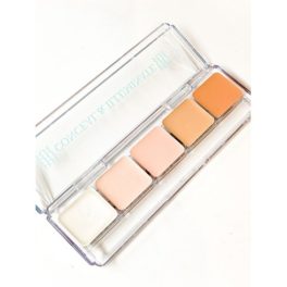 Conceal & Illuminate 5 in 1 Palette