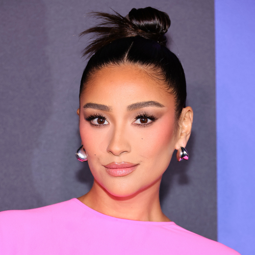 shay mitchell sleek bun