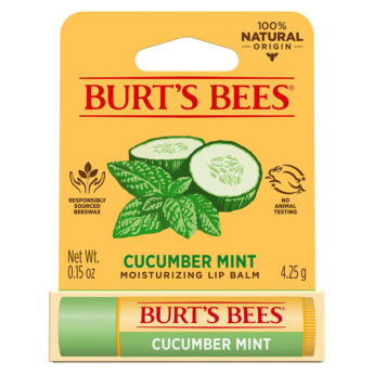 Burt's Bees Cucumber Mint Lip Balm product shot