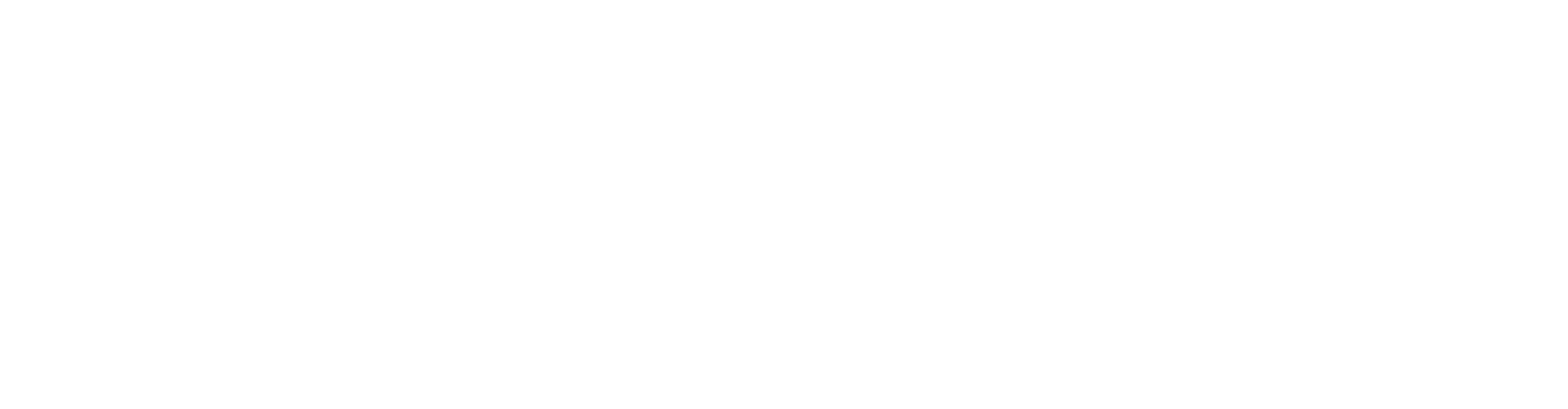 Skinstitut Logo