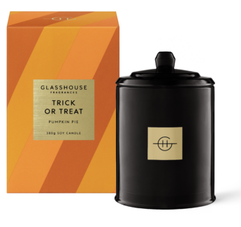 Trick or Treat 380g Soy Candle